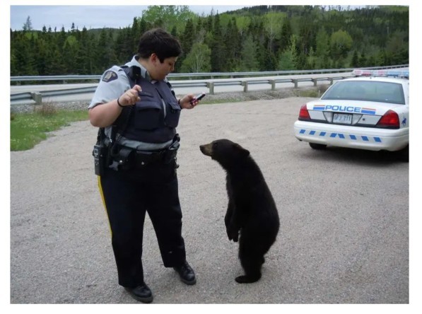 Which police officer is in the most danger?