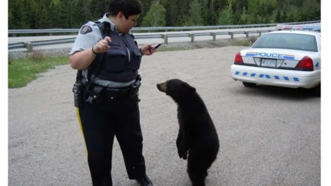 Which police officer is in the most danger?