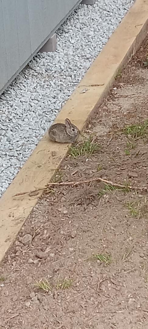 My new friend