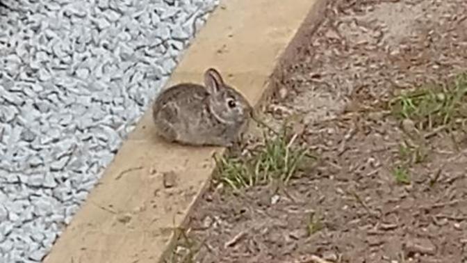 Isn't he adorable?