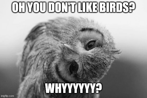 Do you always feel compelled to explain why you dont like someone or something? How do you feel about doing that?