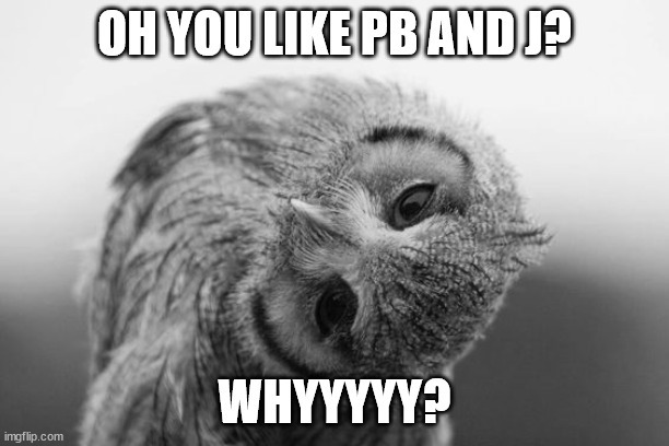 Do you always feel compelled to explain why you don't like someone or something? How do you feel about doing that?