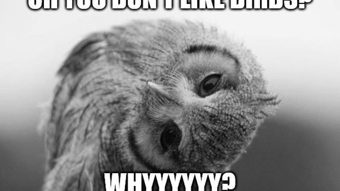 Do you always feel compelled to explain why you don't like someone or something? How do you feel about doing that?