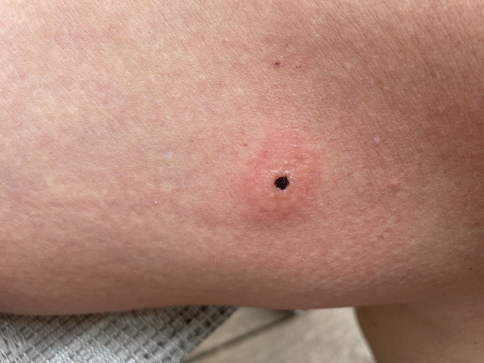 Any ideas what this is?