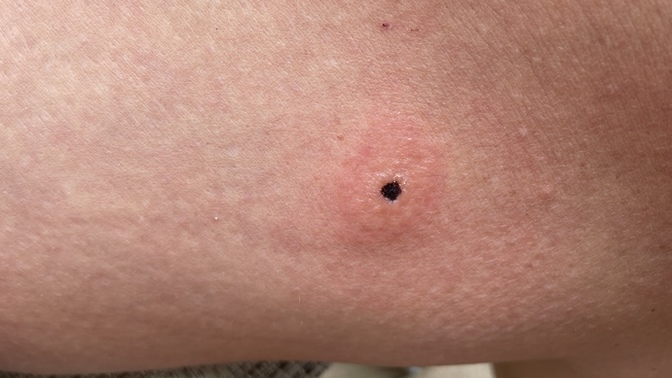 Any ideas what this is?