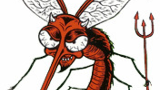 Have you ever had a hell night because of a mosquito?