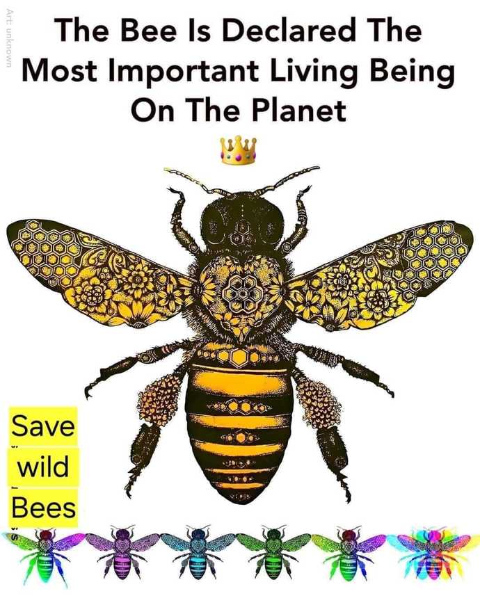 What is the most important living creature on Earth?