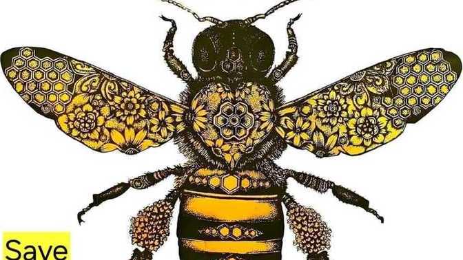 What is the most important living creature on Earth?