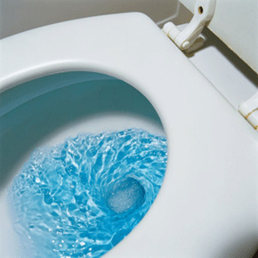 Would YOU be upset if your partner bought stuff that makes the toilet water blue?