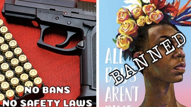 Why do idiots think books are more dangerous than guns?