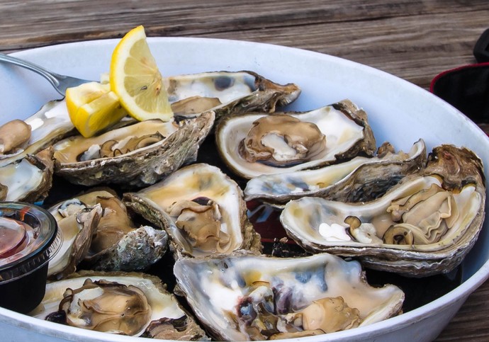 Do you like oysters?