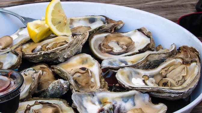 Do you like oysters?