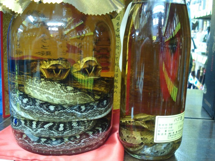 Can you drink habushu?