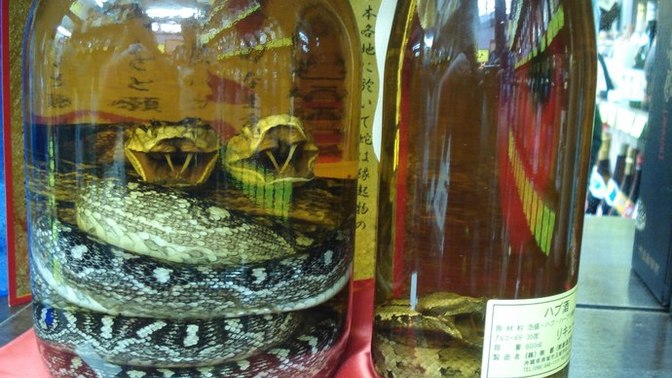 Can you drink habushu?