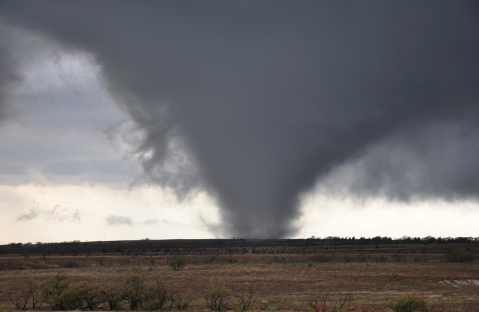 If you could choose which natural disaster would destroy the U.S. before the democripps and rebloodlicans can finish the job, which would you choose?