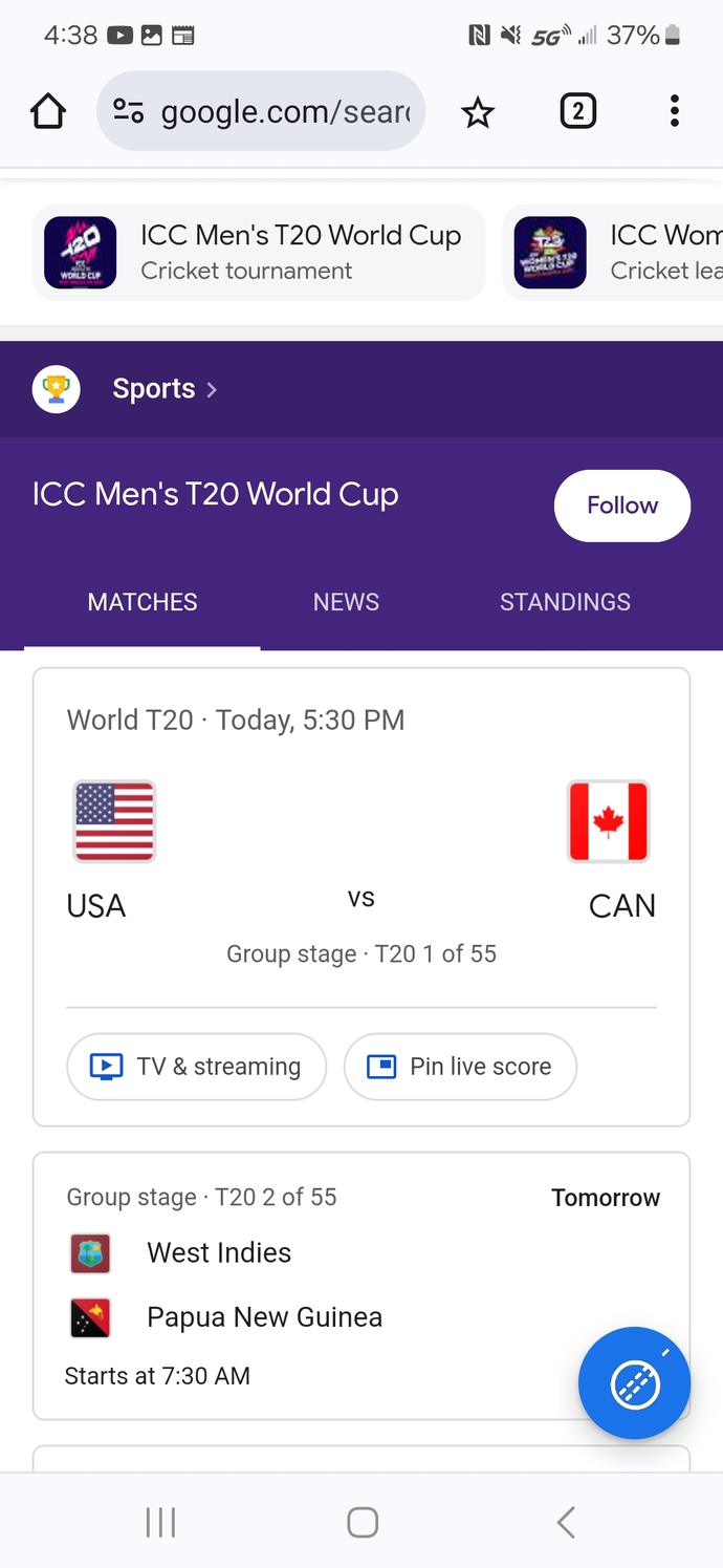 Can any Indians or Commwealth people explain to me what T20 Cricket is?