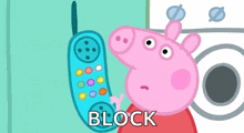 How do you respond to a pushy telemarketer, after you already told them, you're not interested?
