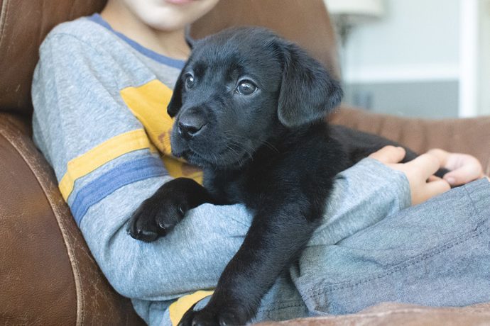 You can adopt a free puppy. Which one are you taking?
