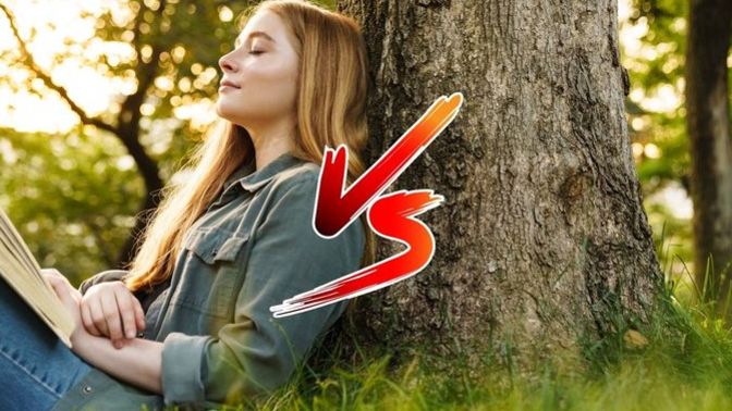 The Great Debate: Why The Tree?