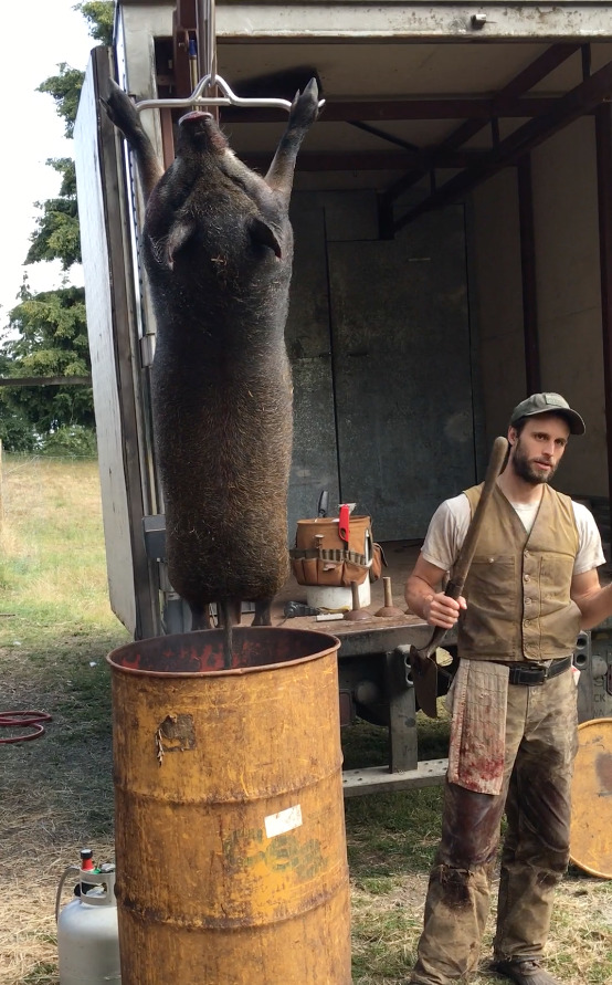 If you had to kill and butcher your own meat, would you still eat meat