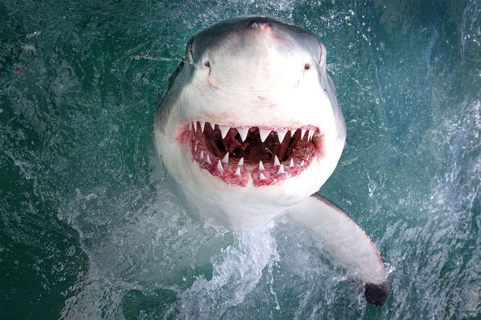Do you ever wish we didn’t have to brush our teeth?