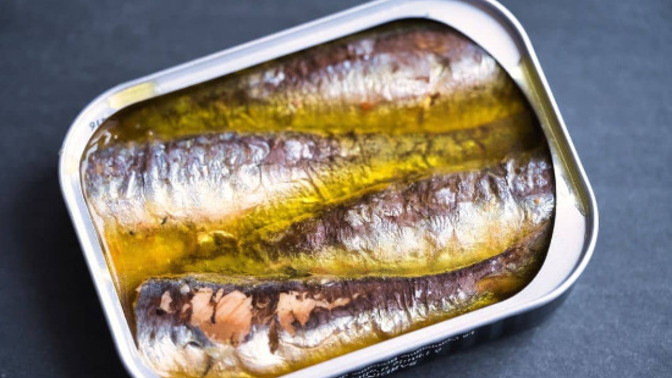 Can I give my cat sardines in olive oil?