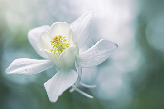 How important is purity for men?