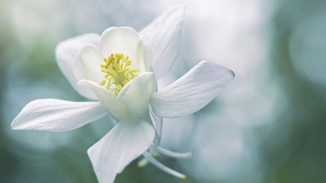 How important is purity for men?