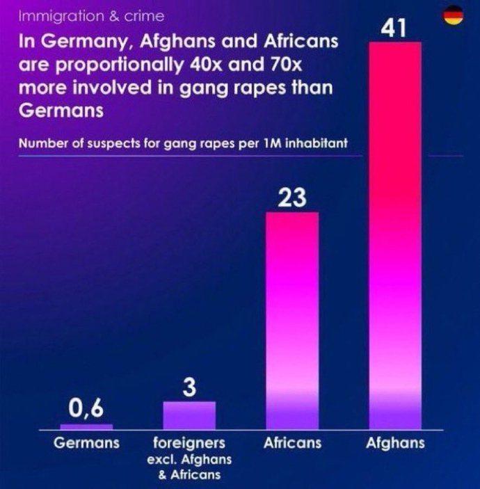 What do you think about the german government forbidding german police to display a german flag?
