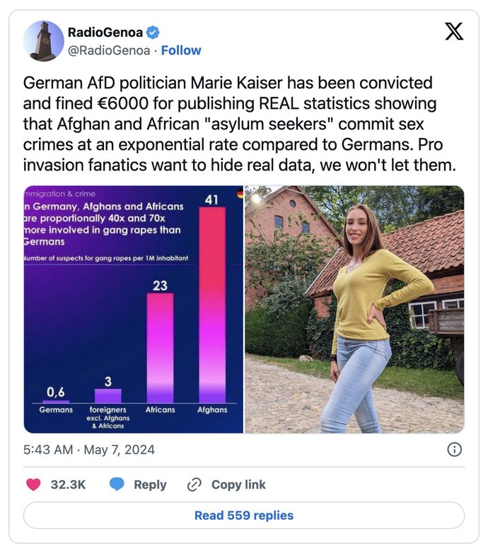 What do you think about the german government forbidding german police to display a german flag?