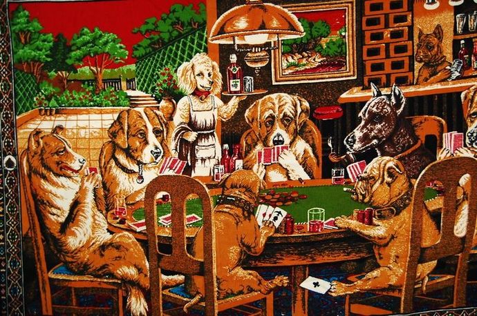 Are you good at poker?
