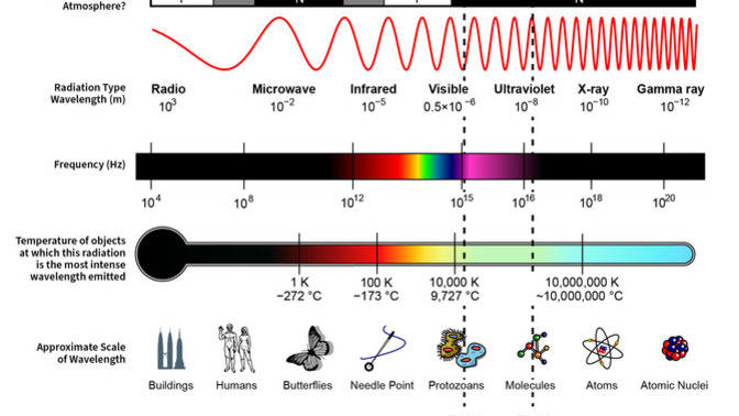 Why is everything now on a "spectrum", except "race"?