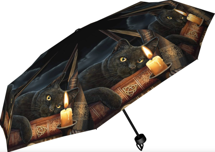 witchy umbrella :D