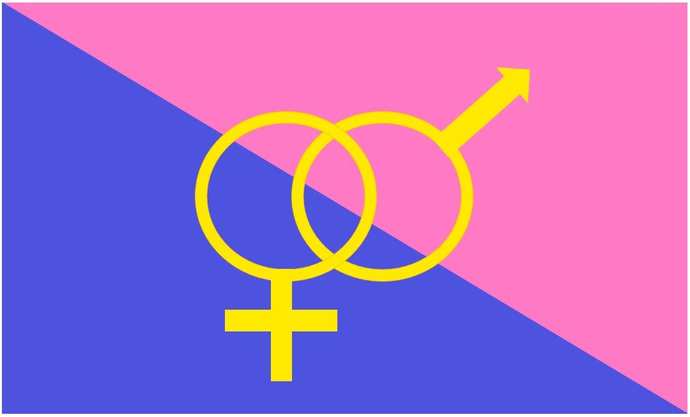 Should Pride be something that should be celebrated?