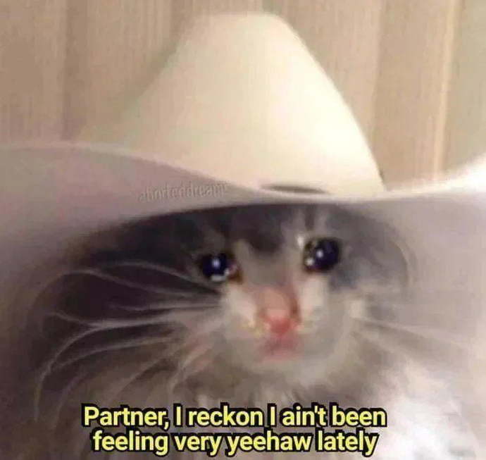 How are you feeling right now? Post a relatable meme?