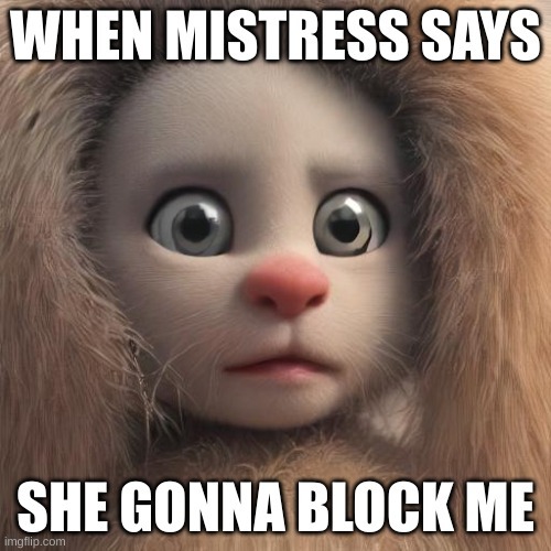 How are you feeling right now? Post a relatable meme?