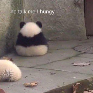 How are you feeling right now? Post a relatable meme?