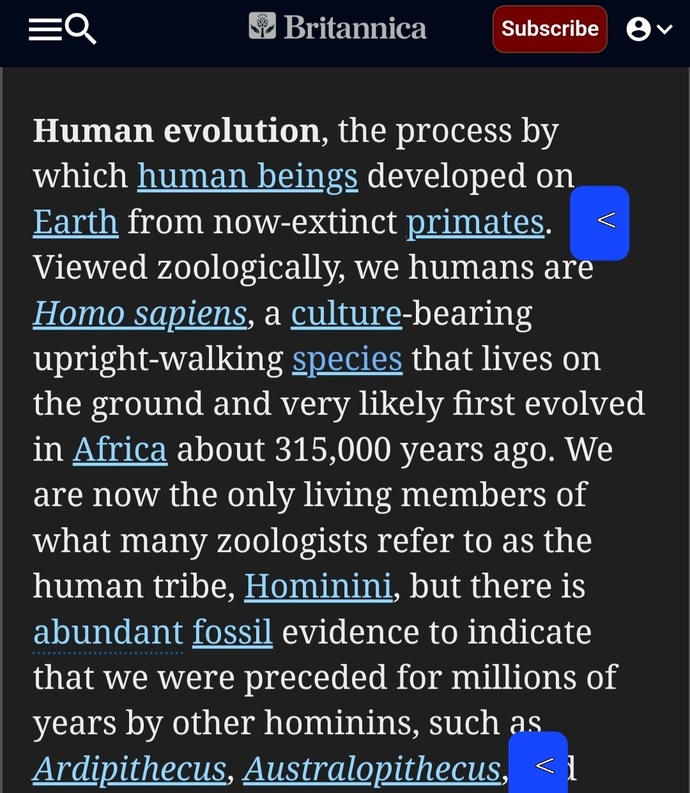 Do you believe humans originated from Apes?