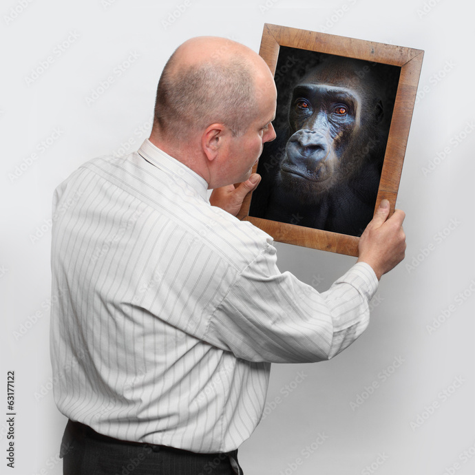 Do you believe humans originated from Apes?