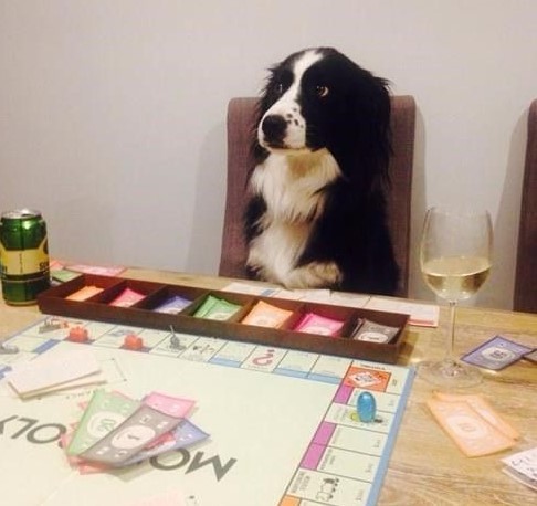 Games vs rules, after first date?
