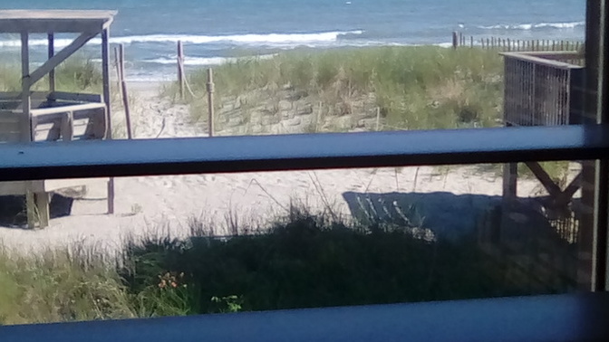 What is your favorite thing to do at the beach?
