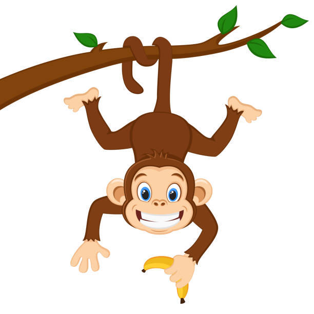 Monkey-branching - What should I do?