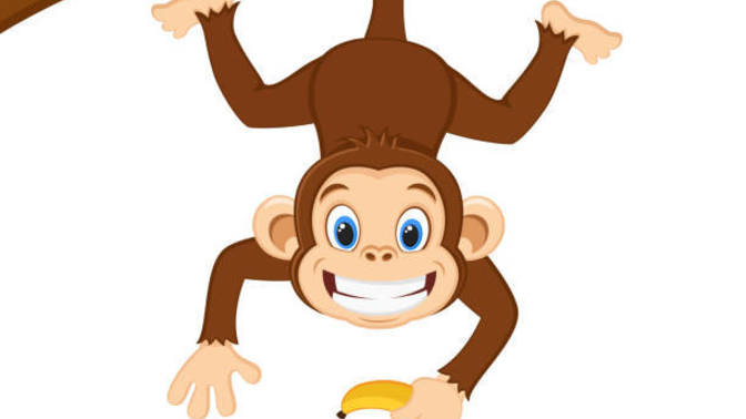 Monkey-branching - What should I do?