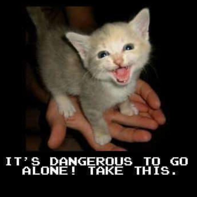 Its dangerous to go alone take this _______. What object should he take?