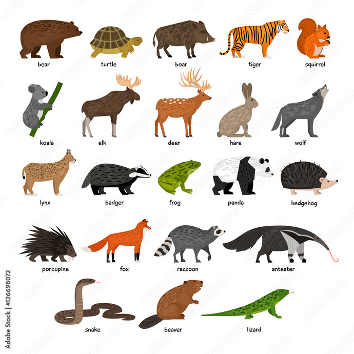 Are there wild ANIMALS in your NEIGHBORHOOD?