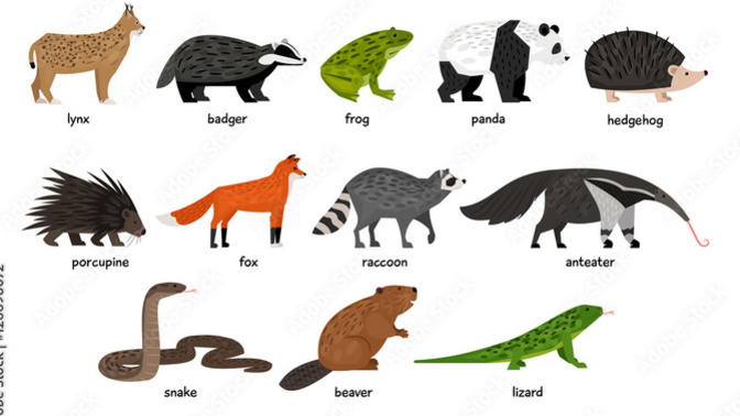 Are there wild ANIMALS in your NEIGHBORHOOD?