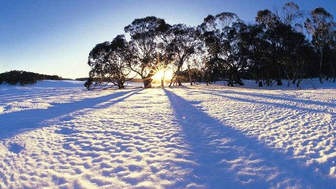 Snow! Yes, it snows in Australia. It gets VERY cold, so bring along a jumper.