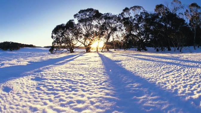 Why do so many foreigners think Australia is a "dangerous" place to live?