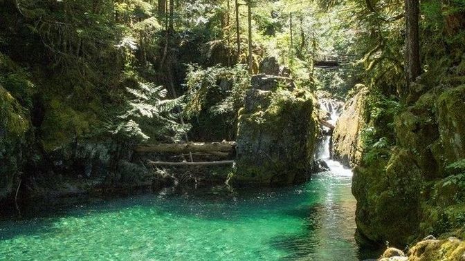 Where would you rather spend the day?