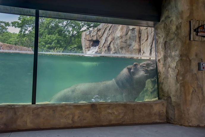 When was the last time you were at a zoo?